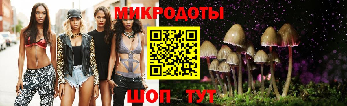 Псилоцибиновые грибы GOLDEN TEACHER  Псилоцибиновые грибы GOLDEN TEACHER  Нижний Тагил  где купить наркотик  Вход с VPN 