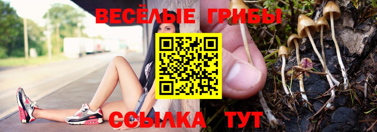 Псилоцибиновые грибы MAGIC MUSHROOMS Нижний Тагил